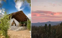 ¿Vacaciones de verano en La Paz? 5 planes irresistibles más allá de la playa