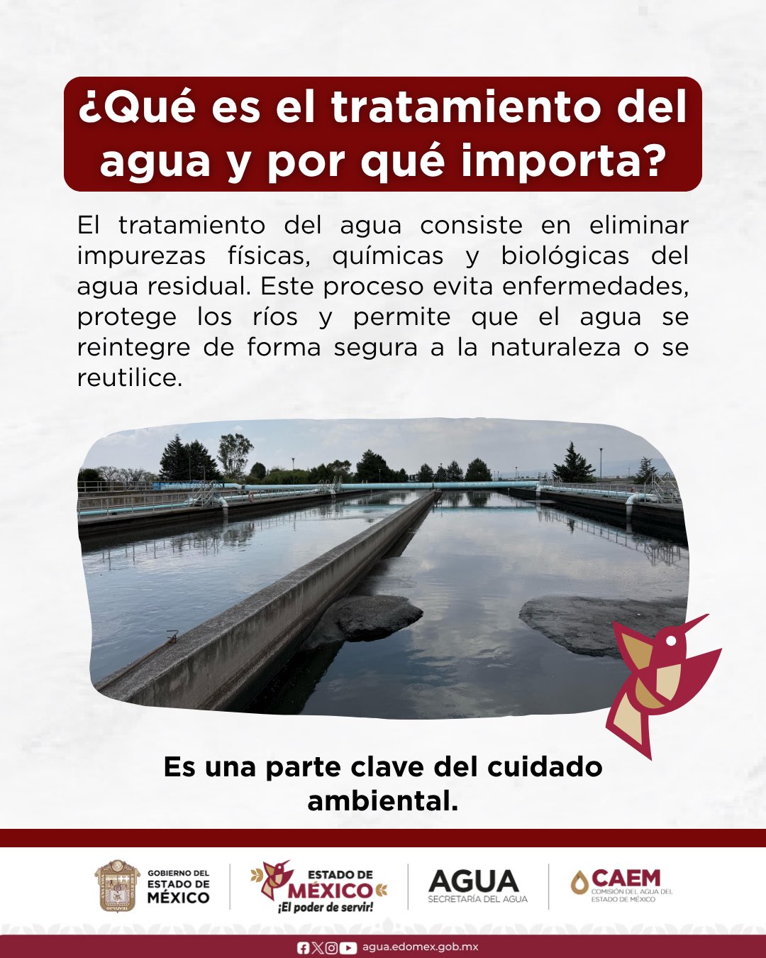 imagen-cuerpo