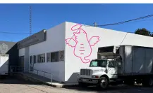 ¿Qué hacer en Durango con el cuerpo de una mascota cuando esta muere?