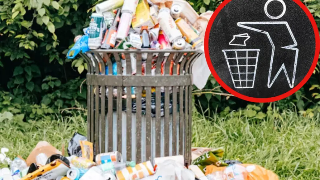 ¿Cómo evitar que las lluvias arrastren tu basura? esto dice el gobierno municipal de Victoria