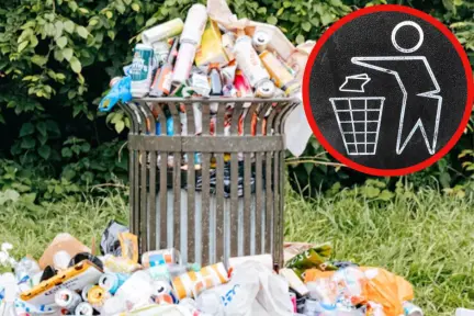 ¿Cómo evitar que las lluvias arrastren tu basura? esto dice el gobierno municipal de Victoria ¿Cómo evitar que las lluvias arrastren tu basura? esto dice el gobierno municipal de Victoria