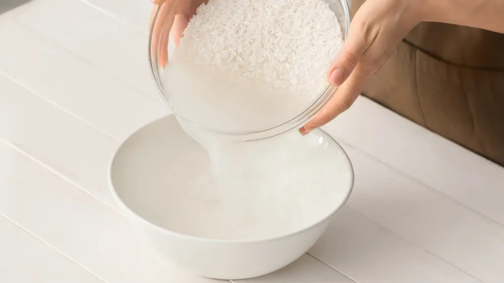 ¿Cómo hacer fertilizante con agua de arroz y para qué plantas sirve?