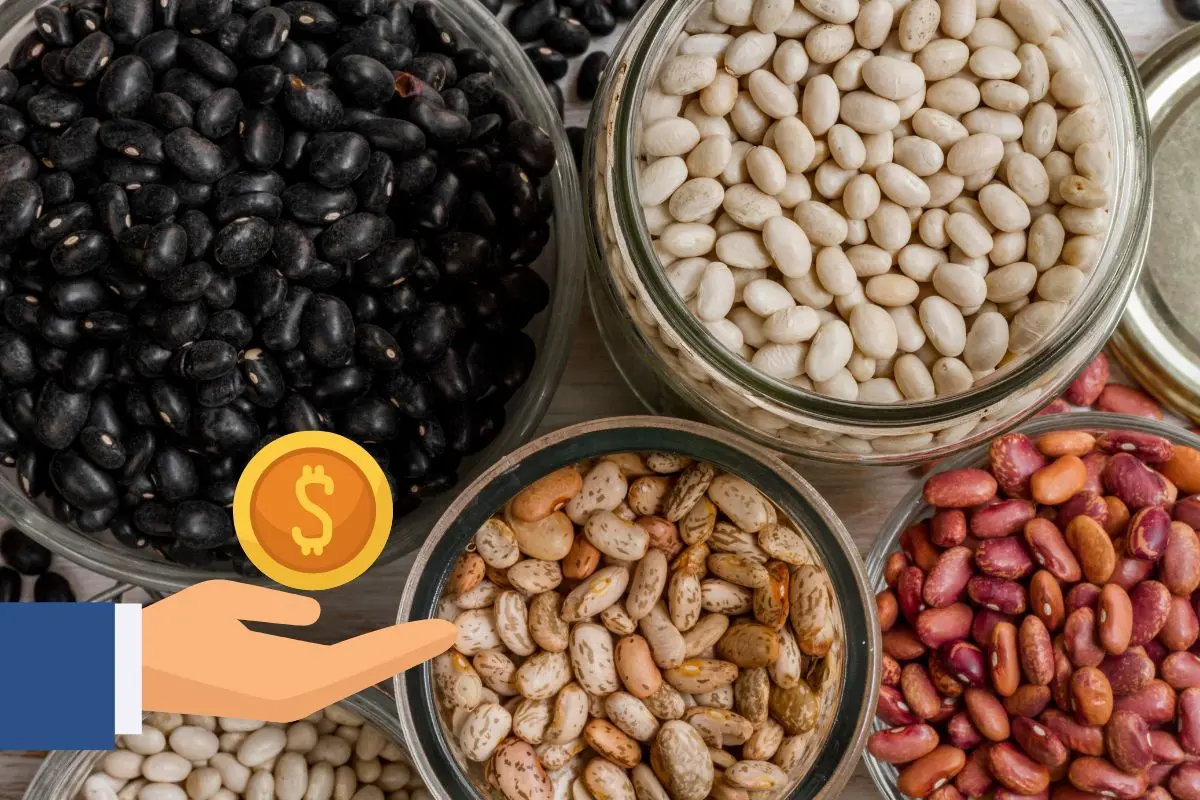 Distintos tipos de frijol dentro de recipientes. Foto: Flickr | Canva