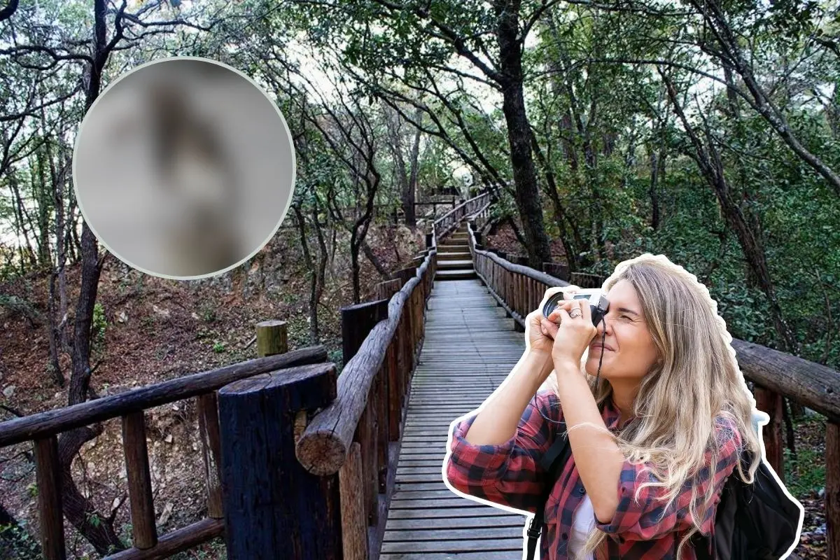 La ardilla de Allen, símbolo de la biodiversidad de Nuevo León, es más que un roedor ágil, es una especie clave para el equilibrio ecológico de los bosques regionales. Foto: iNaturalist / CANVA / monterrey tour