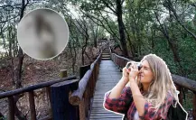 El animal nativo de Nuevo León que salta entre nogales, oculta su comida y no hiberna