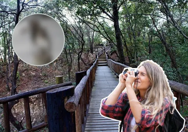 El animal nativo de Nuevo León que salta entre nogales, oculta su comida y no hiberna