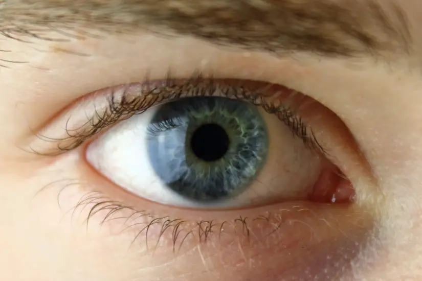 ¿Sabías que la forma de tus ojos puede definir aspectos de tu personalidad y revelar interesantes hechos históricos? Foto: Canva