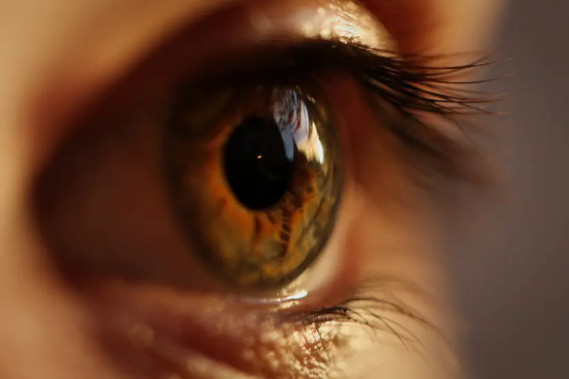Adéntrate en la intrigante conexión entre la forma de tus ojos, tu personalidad y las curiosidades sobre tu linaje. Foto: Canva
