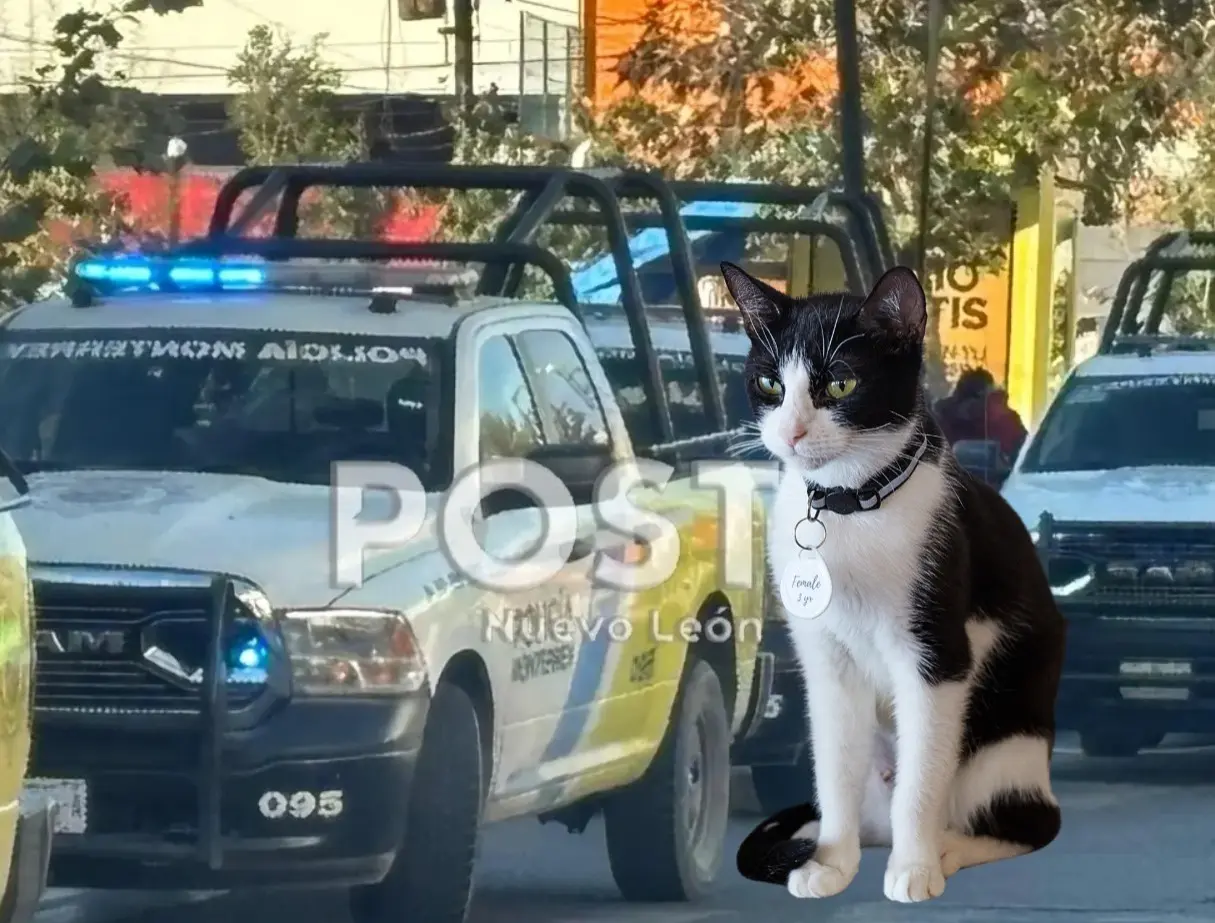 Este tipo de actos la imagen humana de la policía de Monterrey, más allá de su función operativa y de vigilancia. Foto: POSTA/Canva.