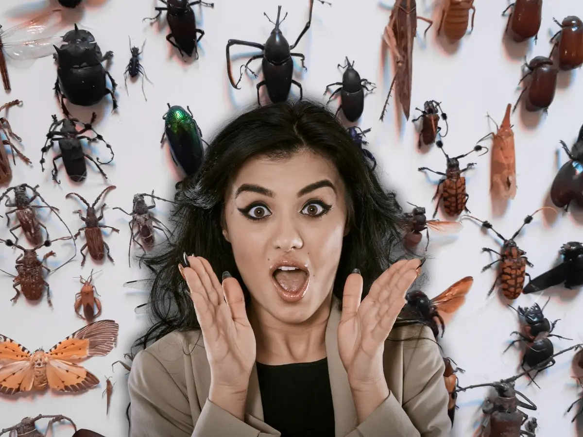 Yucatán también luce por ser el hábitad de una variedad de insectos que son consideraros raros por sus formas y tamaños.- Fuente Canva
