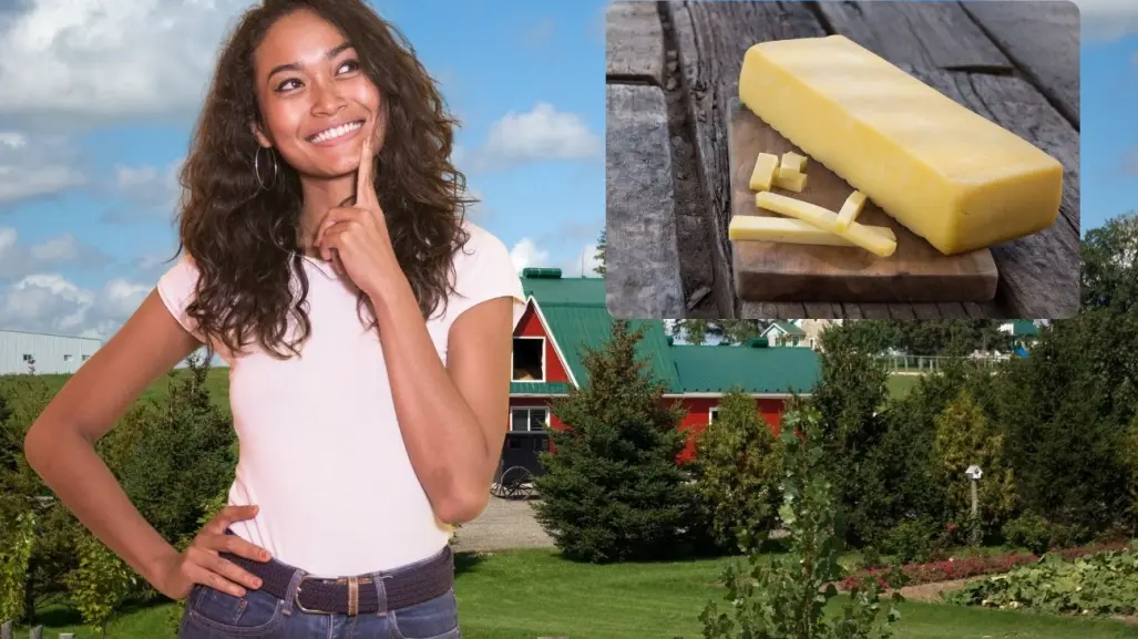 ¿Dónde puedo conseguir el delicioso queso menonita en Yucatán?
