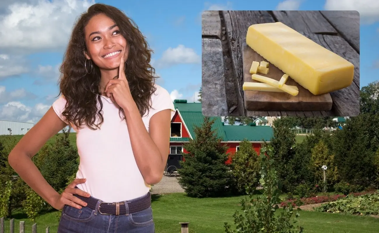 ¿Dónde se puede comprar queso menonita en Yucatán? Foto: Canva