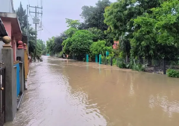 65 colonias bajo el agua: lodo y solidaridad tras lluvias en Tamaulipas