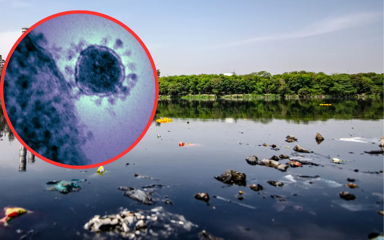 Las aguas residuales contienen virus y bacterias que pueden causar graves daños a la salud. Foto: Canva