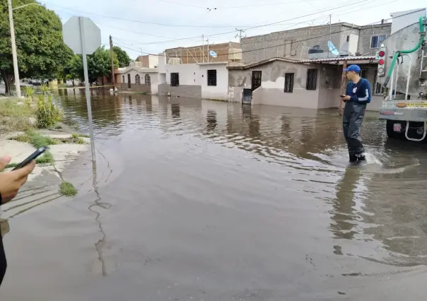 Lluvia en Torreón deja 11 árboles caídos; continúa atención en zonas afectadas