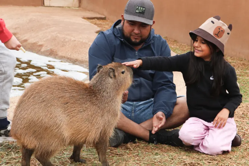 Foto: TripAdvisor.com