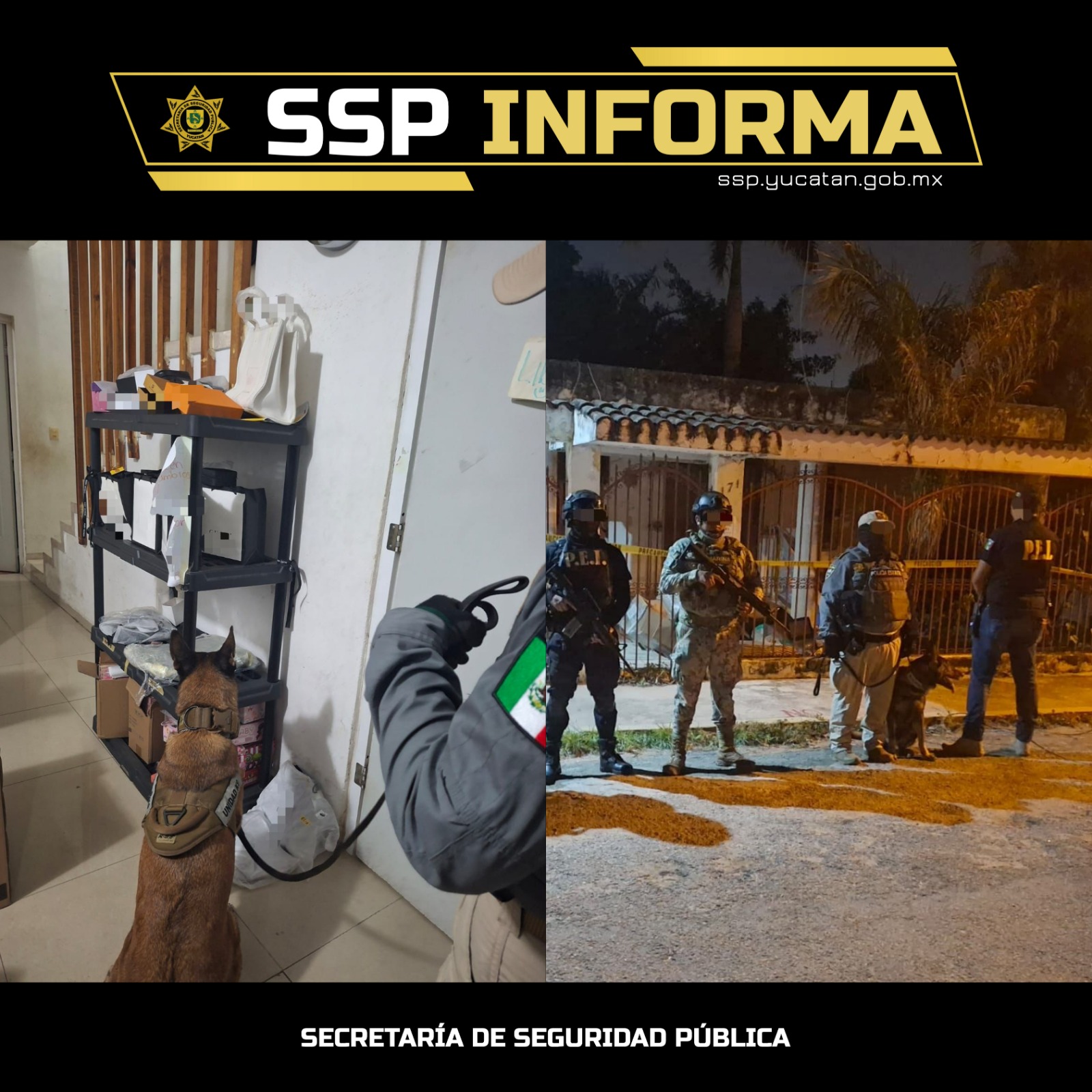 imagen-cuerpo imagen-cuerpo
