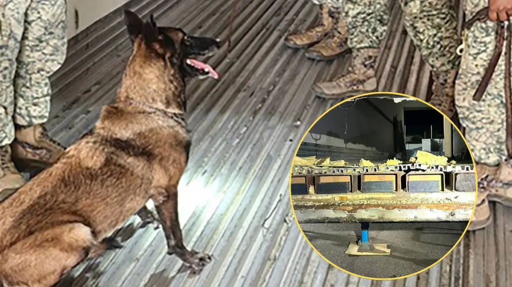 Cae en La Paz sujeto con 1,100 kilos de metanfetamina ocultos en tractocamión
