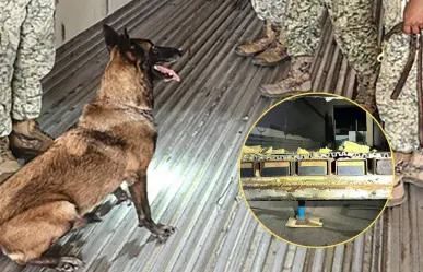 Cae en La Paz sujeto con 1,100 kilos de metanfetamina ocultos en tractocamión