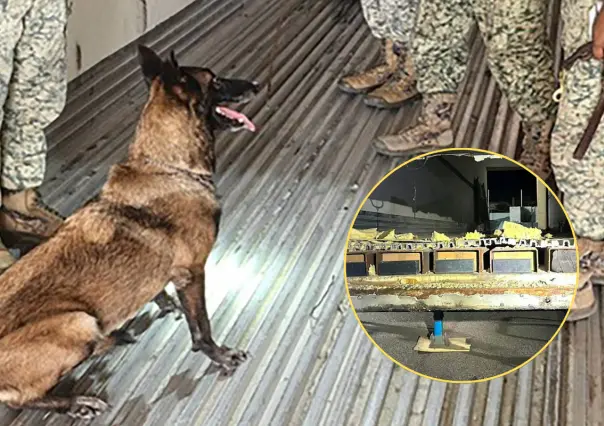 Cae en La Paz sujeto con 1,100 kilos de metanfetamina ocultos en tractocamión