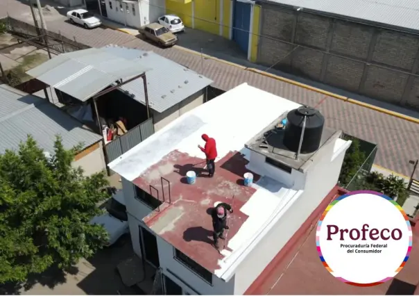 Este es el impermeabilizante que absorbe mejor el agua, según Profeco