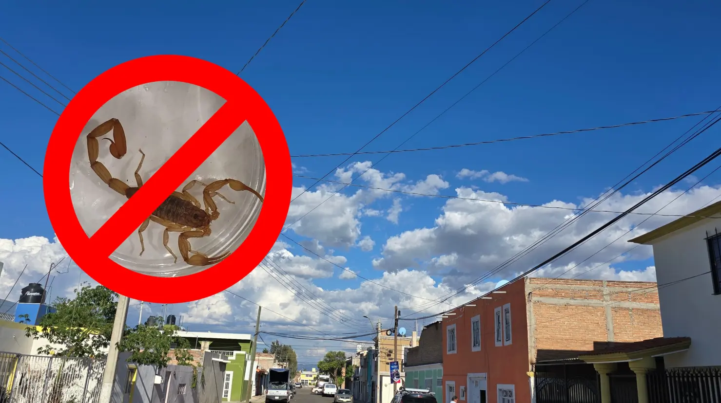 Foto: Gerardo Lares/ Facebook Arañas de México | Con este utensilio podrás mantener fuera de tu casa al temido alacrán de Durango, con un precio menor a los 100 pesos.