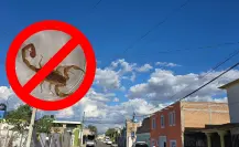 Mantén al alacrán de Durango fuera de casa por menos de 100 pesos con este utensilio