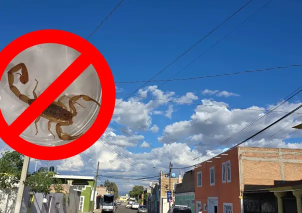 Mantén al alacrán de Durango fuera de casa por menos de 100 pesos con este utensilio