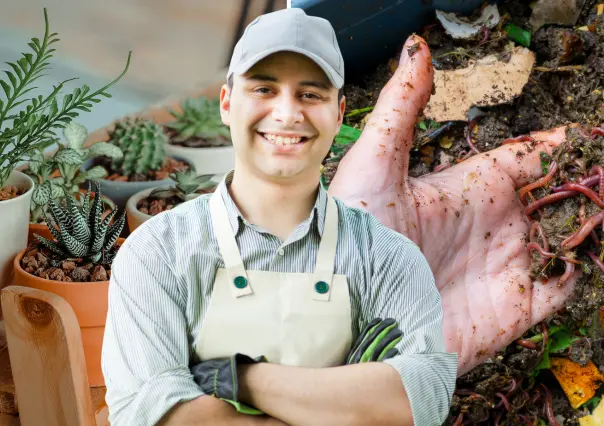 Guía práctica para hacer un compost casero con lombrices y tener un jardín de clase alta