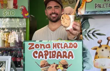 Helados de capibara: la nueva sensación en Animaya Mérida