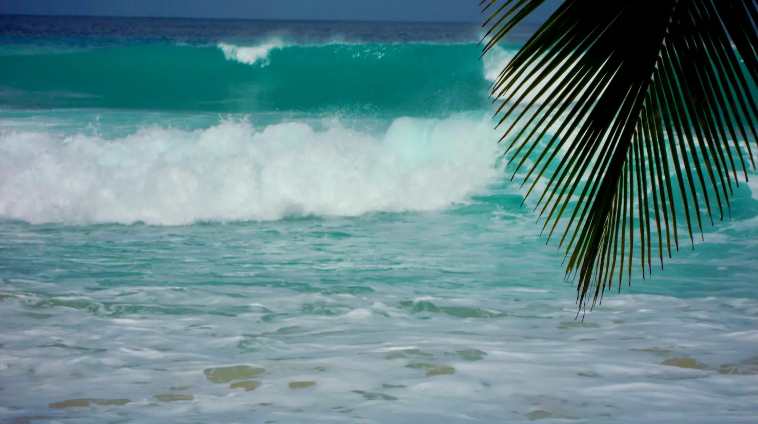 ¿Por qué visitar las playas de Yucatán?. Foto: Unsplash