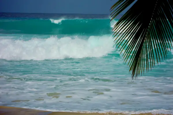 3 playas para disfrutar este verano 2025 en Yucatán