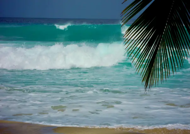 3 playas para disfrutar este verano 2025 en Yucatán