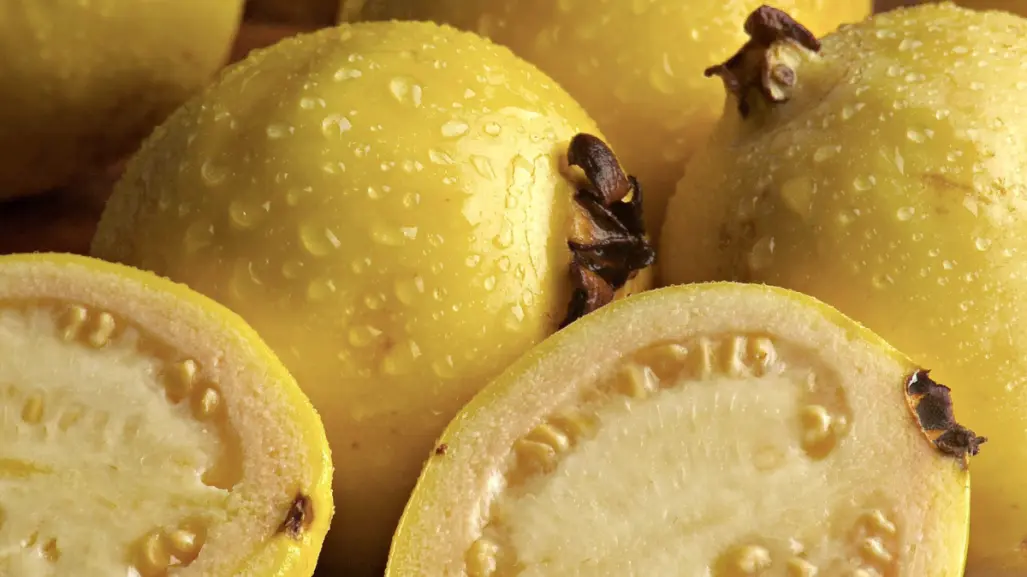 Este fruto se da en Tamaulipas y ayuda en enfermedades como el cáncer y la diabetes