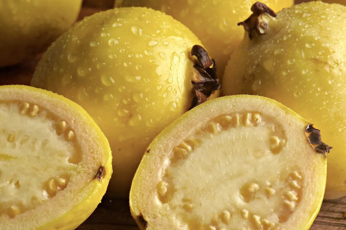 Esta fruta es dulce, deliciosa y su aroma es inconfundibles | Foto: Daniel Espinoza