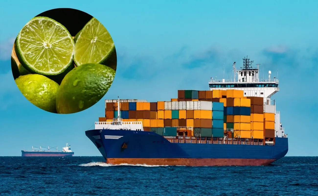 ¿Por qué Yucatán es tan importante para la producción de limón persa? Foto: Canva