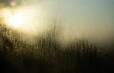 Prevén lluvias aisladas para Tamaulipas este 4 de julio