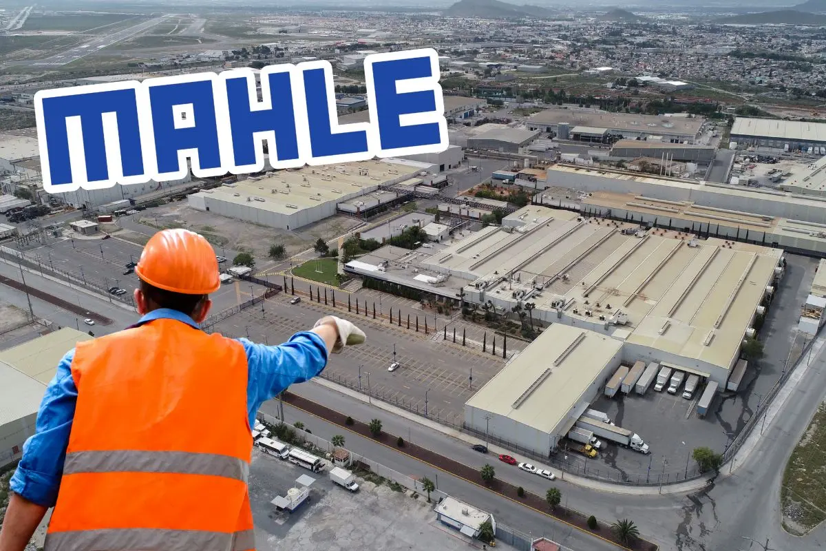Esto es lo que produce MAHLE en Ramos Arizpe, Coahuila / Foto: MAHLE career | Canva