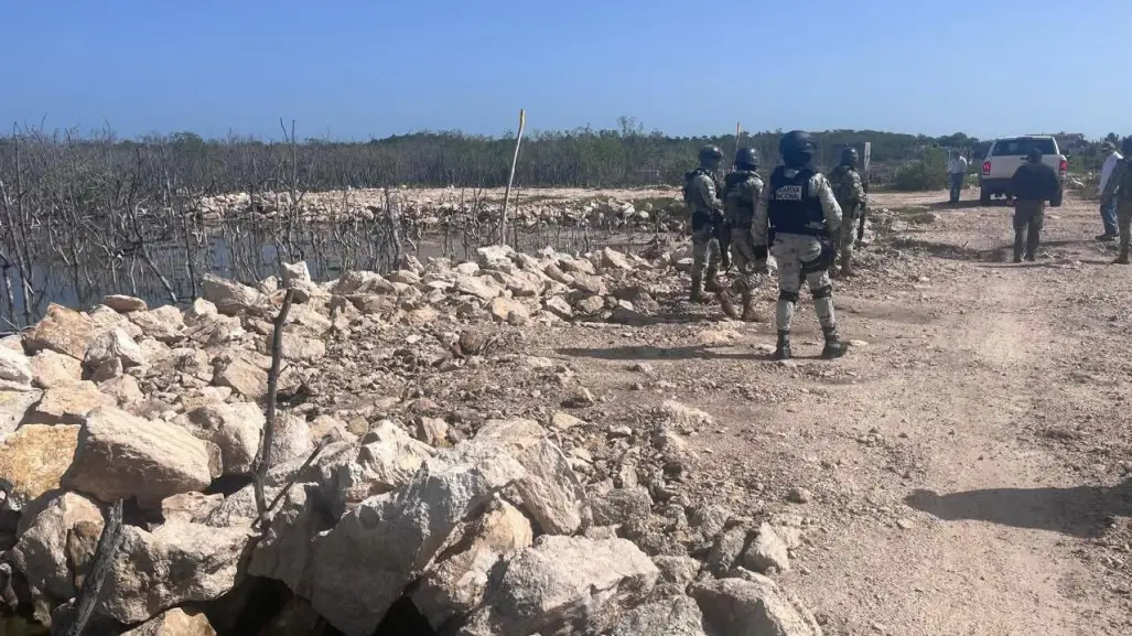 Ecocidio en San Felipe, Yucatán: clausuran obra promovida por el Alcalde