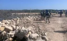 Ecocidio en San Felipe, Yucatán: clausuran obra promovida por el Alcalde