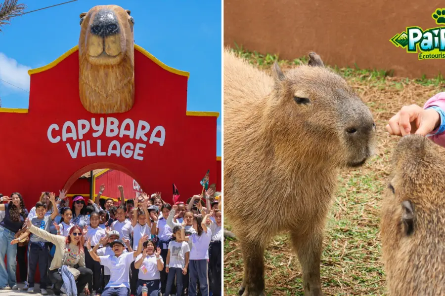 Ensenada tiene un parque con capibaras y puedes convivir con ellas en Pai Pai