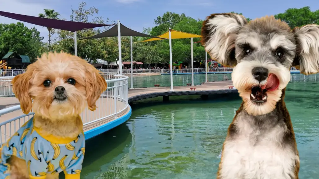 Este es el parque Pet Friendly de Victoria con espacios de descanso para ti y tus mascotas
