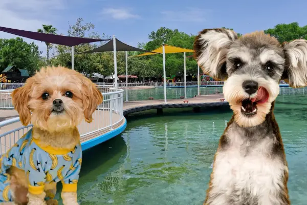 Este es el parque Pet Friendly de Victoria con espacios de descanso para ti y tus mascotas