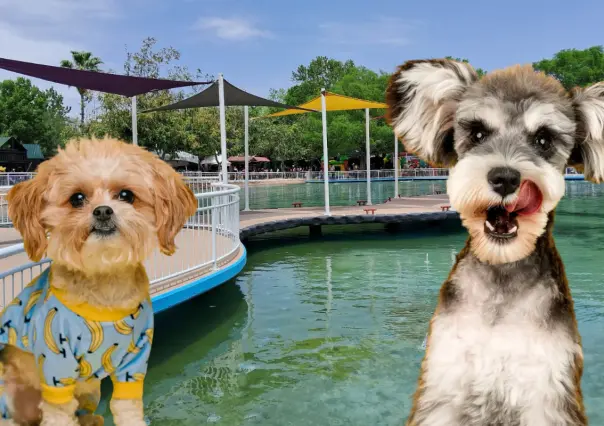 Este es el parque Pet Friendly de Victoria con espacios de descanso para ti y tus mascotas