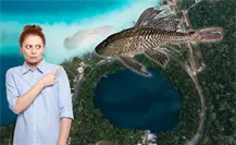 Alerta en Bacalar: ¿qué tan peligrosa es la presencia del pez diablo en el Cenote Negro? Alerta en Bacalar: ¿qué tan peligrosa es la presencia del pez diablo en el Cenote Negro?
