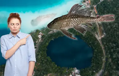 Alerta en Bacalar: ¿qué tan peligrosa es la presencia del pez diablo en el Cenote Negro?