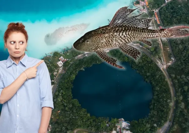 Alerta en Bacalar: ¿qué tan peligrosa es la presencia del pez diablo en el Cenote Negro?