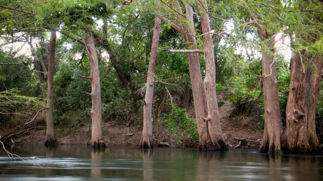 El popular río de Tamaulipas que está a 20 minutos de Ciudad Victoria y llegas por esta carretera