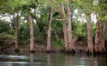 El popular río de Tamaulipas que está a 20 minutos de Ciudad Victoria y llegas por esta carretera
