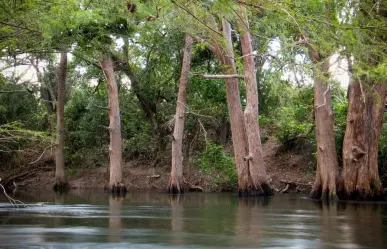 El popular río de Tamaulipas que está a 20 minutos de Ciudad Victoria y llegas por esta carretera
